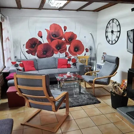 Ferienhaus Waldhaus 57 Silbersee Hessen 2-6 Personen Hund Erlaubt Wald Frielendorf