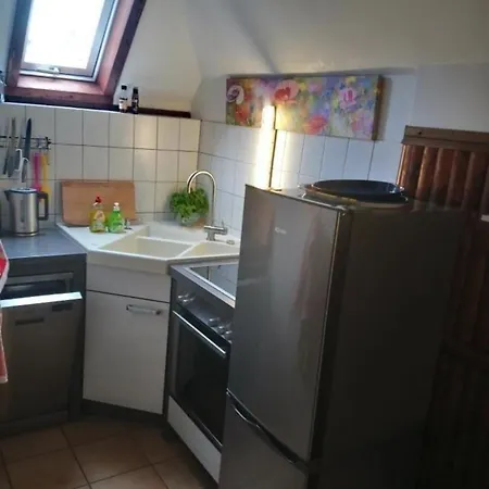 Waldhaus 57 Silbersee Hessen 2-6 Personen Hund Erlaubt Wald Ferienhaus