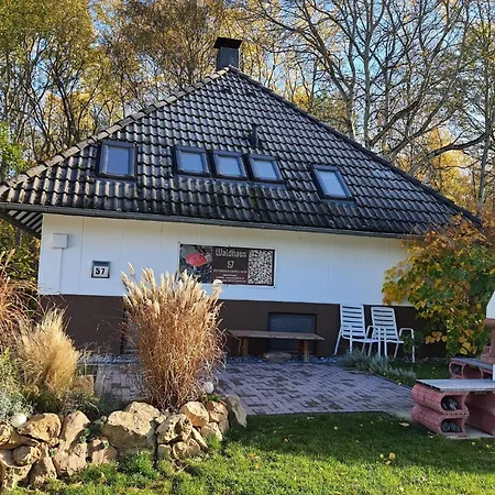 Waldhaus 57 Silbersee Hessen 2-6 Personen Hund Erlaubt Wald